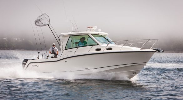 Boston Whaler 315