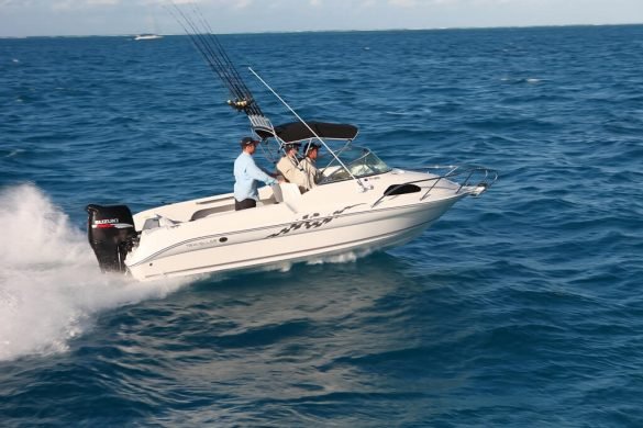 Haines Traveller TF185