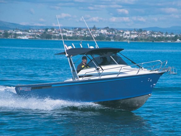 Kingfisher 650 Striking